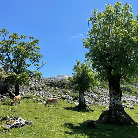 Mar Y Montaña *