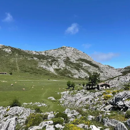 Mar Y Montaña *